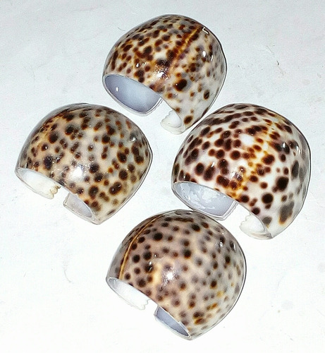 Set Porta-servilletas, Artesanía Filipina Caracol Porcelana (Usado)