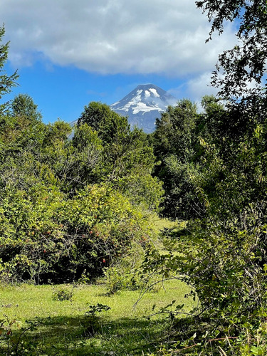 Extranjero Por Viaje Vende Cuatro Maravillosos Terrenos 