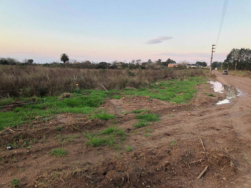 Imagen 2 de 8 de Terreno Baldío. 2500m2, 40m De Frente X 62,50 M De Fondo Excelente Ubicación. San José Entre Ríos