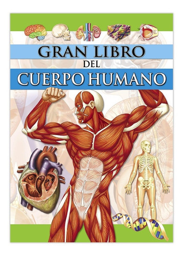 Gran Libro Del Cuerpo Humano, De Saldaña. Editorial Ediciones Saldaña, Tapa Dura En Español