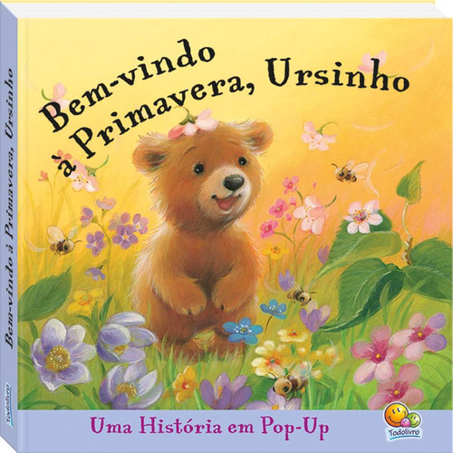 Histórias Pop up: Ursinho, de Miller, Liza. Editora Todolivro Distribuidora Ltda., capa dura em português, 2017