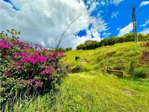 Finca De Producción En Venta En San Vicente, Antioquia