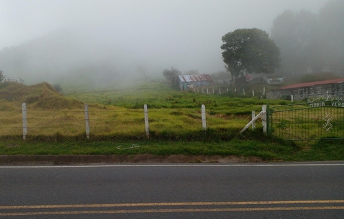 Imagen 5 de 6 de Hermoso Lote En Zarcero Centro