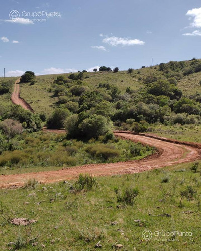 Imagen 10 de 15 de Chacras Financiadas En Minas Lavalleja