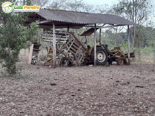 Imagem 12 de 12 de Fazenda À Venda Em Nioaque - Ms - 126 Hectares - (dupla Aptidão) - 2131