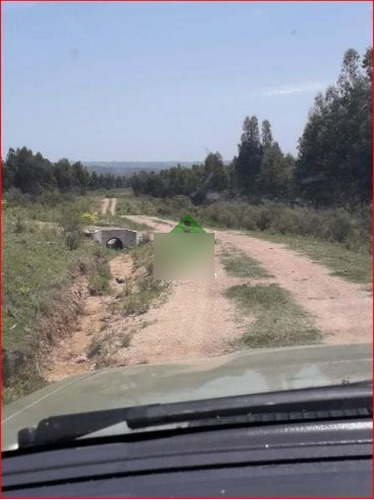 Imagen 7 de 13 de Venta De Campo Zona De Aigua, 121 Hectareas, Con Buen Acceso, Aguadas.