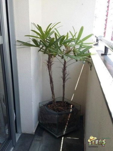 Apartamento À Venda V. Bela - Ap0537