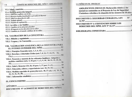 La Niñez En El Uruguay - Comite Derechos Del Niño (Usado)