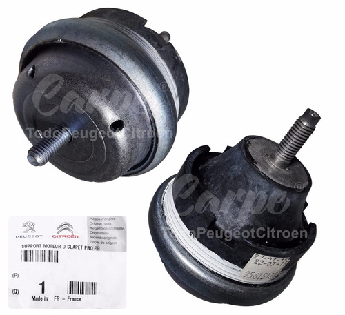 Pata Motor Derecho Hidraulico Citroen Picasso 100% Original