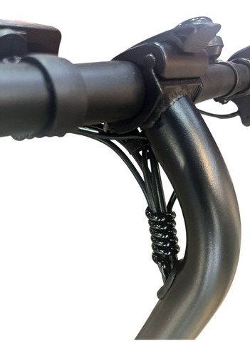 Bicicleta Eletrica Bike Dobravel Bateria Litio 36v 350watts Cor Preto