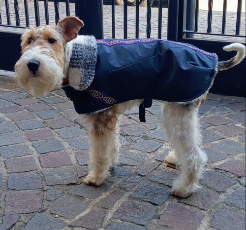 Capa  Perro Chico Impermeable C/corderíto 40 Cm - 45 Cm