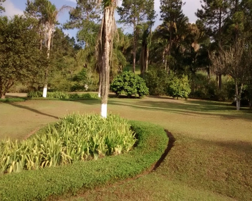Imagem 24 de 30 de Excelente Sítio Rico Em Água Á Venda Em Juquitiba. - 194 - 32982689