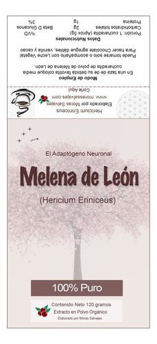 Melena De León Seta Extracto 10:1 Liofilizado Y Orgánico