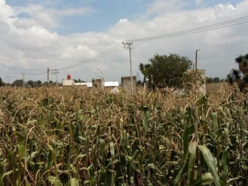Imagen 9 de 10 de Se Vende Terreno En Calimaya, Estado De México