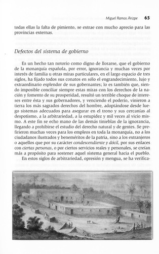 Historiadores De Mexico Siglo Xix, De Flores Torres, Oscar. Editorial Trillas, Tapa Blanda En Español, 2003