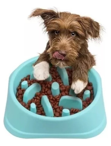 Plato Comedero Mascotas Antireflujo Alimentación Lenta