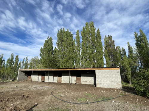 Campo En Perito Moreno