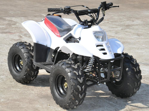 Imagen 8 de 8 de Atv