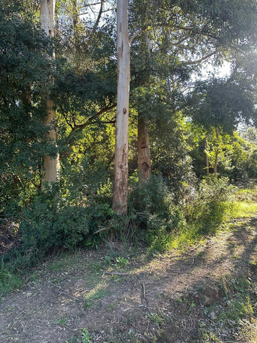Terrenos en venta - Ocean Park