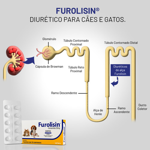 Diurético Furolisin 20mg Cães E Gatos C/ 10 Comprimidos