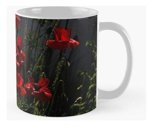 Taza Rockery Poppies Calidad Premium