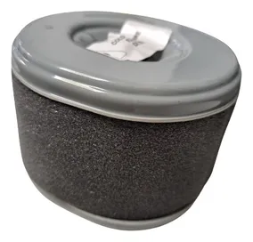 Filtro De Aire Honda Gx 240