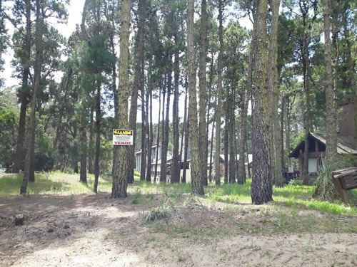 Imagen 1 de 7 de Lote En Venta Mar De Las Pampas 450 M2 + Espacio Verde