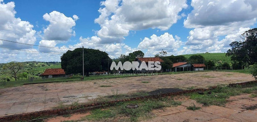 Imagem 8 de 18 de Fazenda Na Região De Bauru À Venda, 118 Alq Por R$ 15.000.000 - Bauru - Bauru/sp - Fa0016