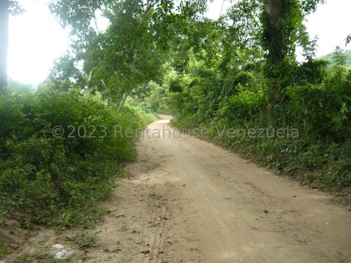 Imagen 27 de 30 de ( Terreno O Finca Agro Ecologica En Venta Chivacoa Sector Charay. Sorte 23-31244 As-1
