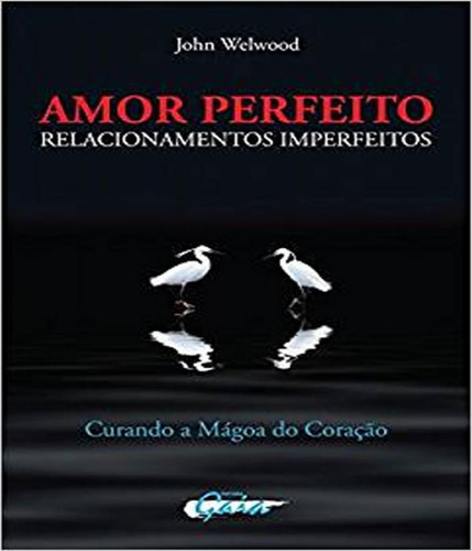 Livro Amor Perfeito - Relacionamentos Imperfeitos