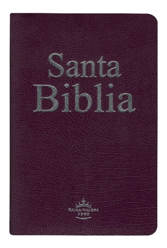 Imagen 2 de 5 de Biblia Rvr60 Manual Delgada Imitación Piel Lila (776058)