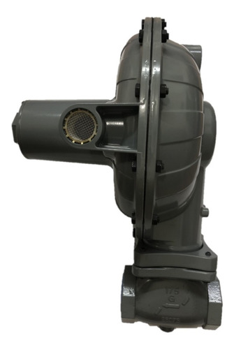 Regulador De Gas Cs800 Mca. Fisher