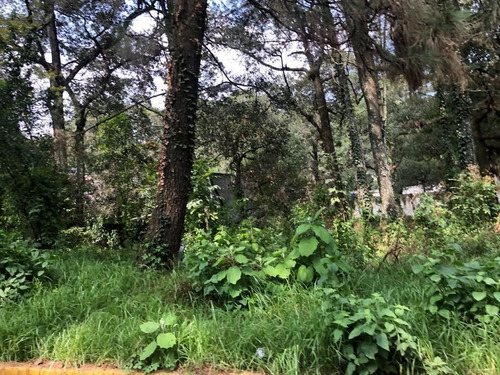 Imagen 2 de 8 de Aproveche Para Constuir Su Cabaña