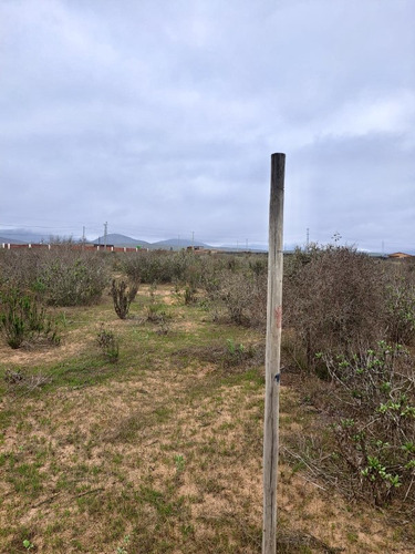 Terreno - A 10 Minutos De Playa Guanaqueros