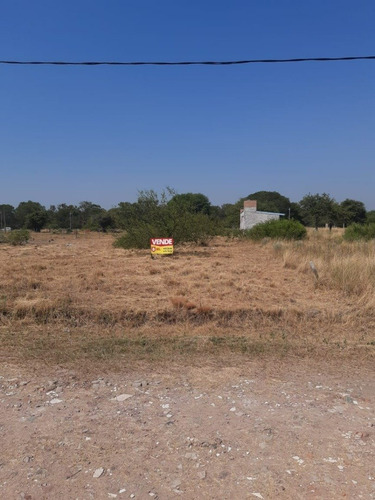 Imagen 4 de 11 de Terrenos De 1000 M2 A Pocas Cuadras Del Centro, Colonia Benítez!