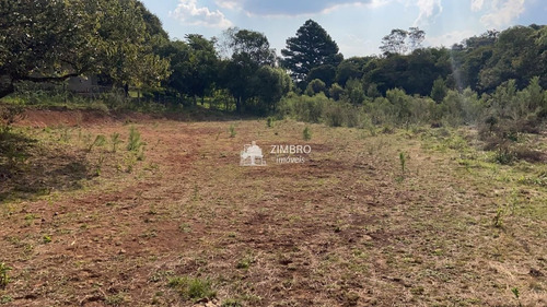 Imagem 5 de 9 de Terreno Com Mil M², Possibilidade De Comprar Dois Lado A Lado - 19581