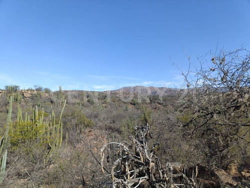 Terreno Rústico En Venta En Tierra Nueva, San Luis Potosí, Slp.