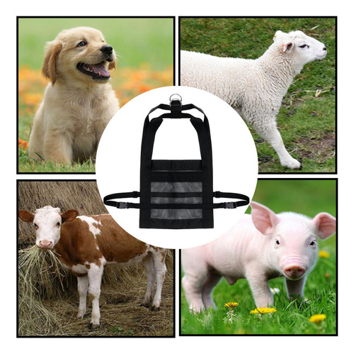 Eslinga De Pantorrilla Para Pesar Animales 60x40cm