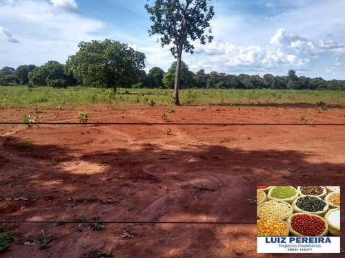 Fazenda À Venda Em Talismã - To - De 268 Alqueirões (dupla Aptodão) - 1580