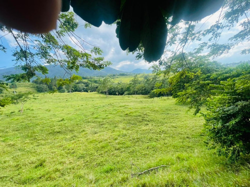 Finca En Venta En Jarabacoa