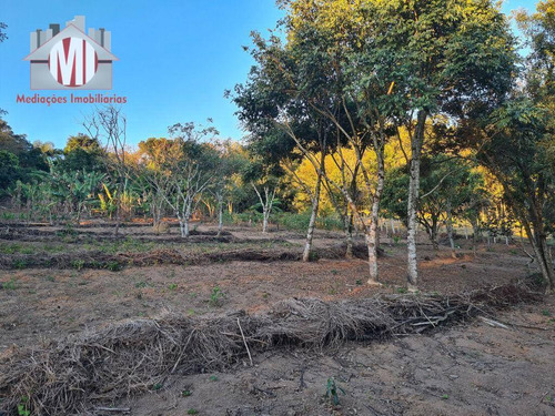 Imagem 28 de 30 de Ótima Chácara Com 4 Dormitórios, Edícula, Salão De Jogos, Pomar, Horta, Bem Localizada, À Venda, 5000 M² Por R$ 630.000 - Zona Rural - Pinhalzinho/sp - Ch0984