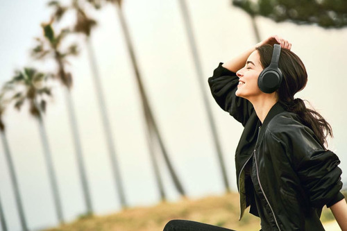 Auriculares Sony Wh-xb900n Inalambrico Cancelacion De Ruido Extra Bass Negro