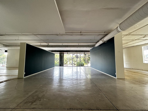 Oficina En Renta - Juan Vázquez De Mella Piso 1 - 498 M2