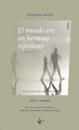 Libro El Mundo Era Un Hermoso Espejismo - Dionisio Canas