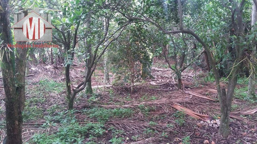 Imagem 26 de 29 de Excelente Chácara Com 03 Dormitórios, Pertinho Da Cidade, Pomar, Ótima Casa À Venda, 1000 M² Por R$ 320.000 - Zona Rural - Pinhalzinho/sp - Ch0069