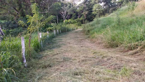 Venta Granja Integral Productiva Avicola Ganadera Y Minera Tinaquillo Edo. Cojedes Negociable Con Financiamiento Jm