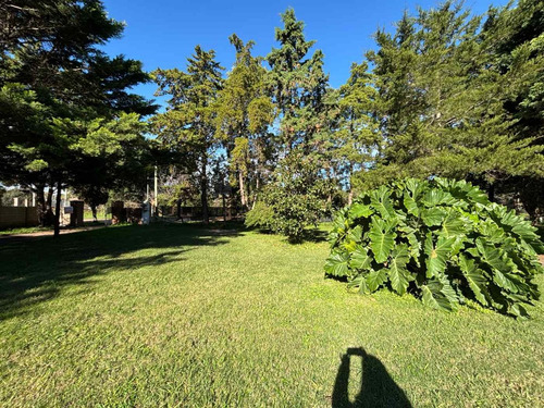 Quinta En Venta En Bragado