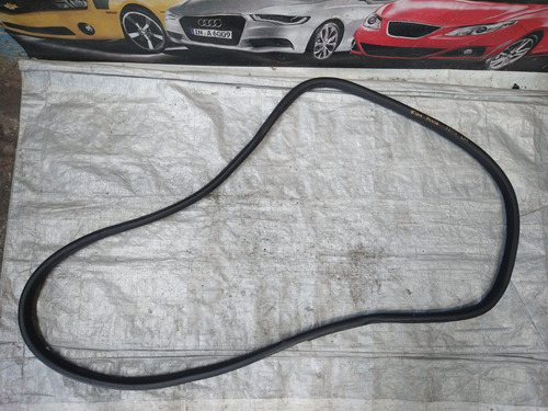 Goma Puerta Trasera Izquierda Fiat Pulse 2023 Original (Usado)