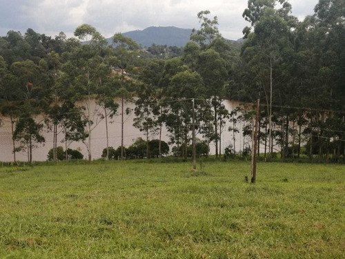 Imagem 2 de 14 de C18- 20.000 Mtrs2 ... Isso Mesmo Vinte Mil Metros