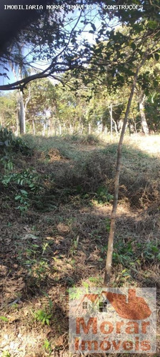 Imagem 6 de 15 de Chácara Para Venda Em Cajamar, Vau Novo, 1 Dormitório - Sd658_2-1584788